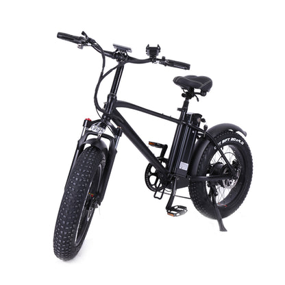 T20 20 Inch 750W Electric Bike, 4.0 Fat Tire Mountain Bike, 48V 17Ah Battery, Front & Rear Disc Brake