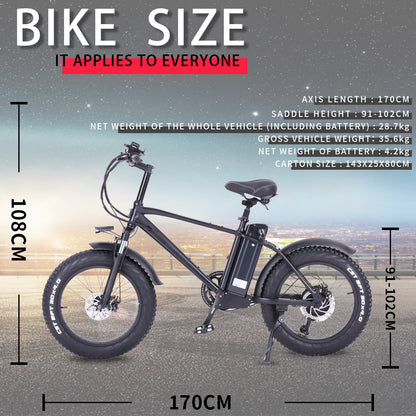 T20 20 Inch 750W Electric Bike, 4.0 Fat Tire Mountain Bike, 48V 17Ah Battery, Front & Rear Disc Brake