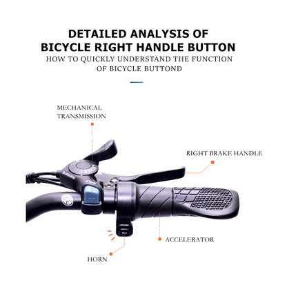 GW20 750W 20 Inch Electric Folding Bike, 4.0 Fat Tire, 48V Powerful Lithium Battery, Snow Bike, Power Assist Bicycle